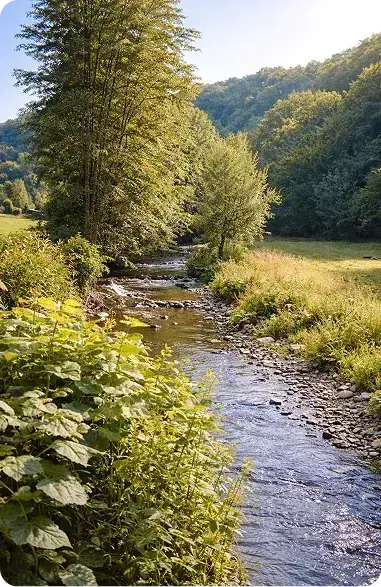 River near the campsite